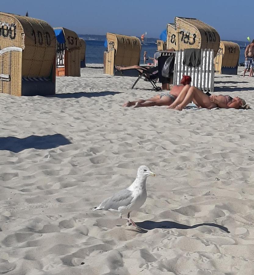 Penthouse Ferienwohnung Auszeit, Gerne Mit Hund, Wlan Inkl. Laboe Luaran gambar